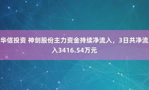 华信投资 神剑股份主力资金持续净流入，3日共净流入3416.54万元