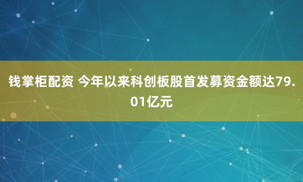 钱掌柜配资 今年以来科创板股首发募资金额达79.01亿元