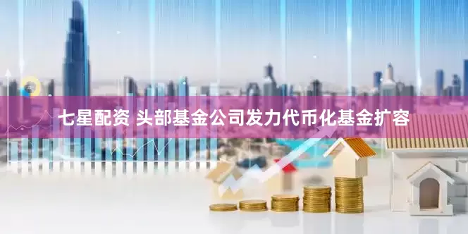 七星配资 头部基金公司发力代币化基金扩容