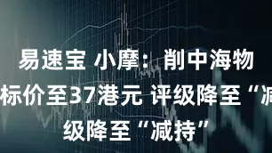 易速宝 小摩：削中海物业目标价至37港元 评级降至“减持”