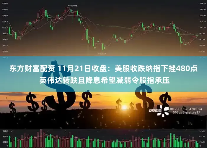东方财富配资 11月21日收盘：美股收跌纳指下挫480点 英伟达转跌且降息希望减弱令股指承压